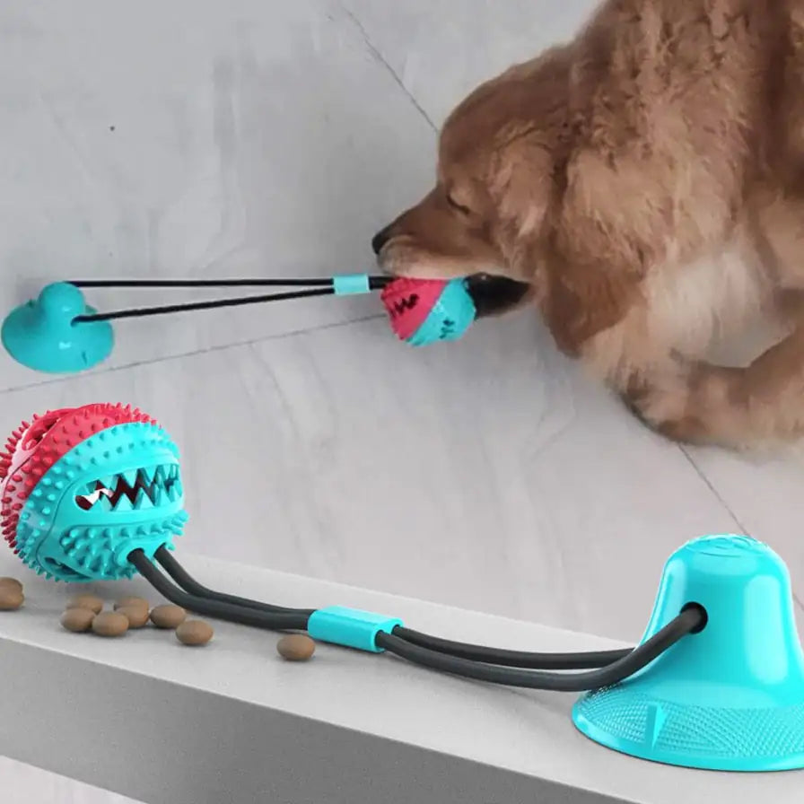 Pleasure Crunch for Dogs - PawPal Shop