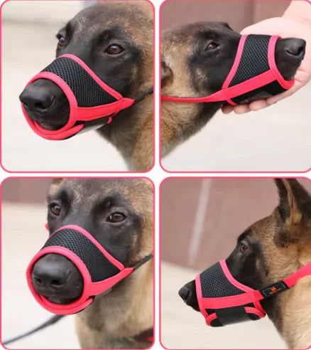 Preventative Mouth Guard - PawPal Shop