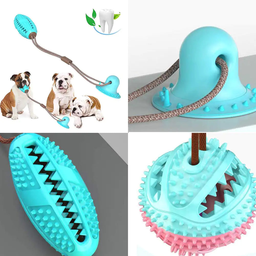 Pleasure Crunch for Dogs - PawPal Shop
