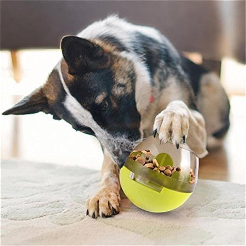 Egg Wobble Pet Puzzle - PawPal Shop
