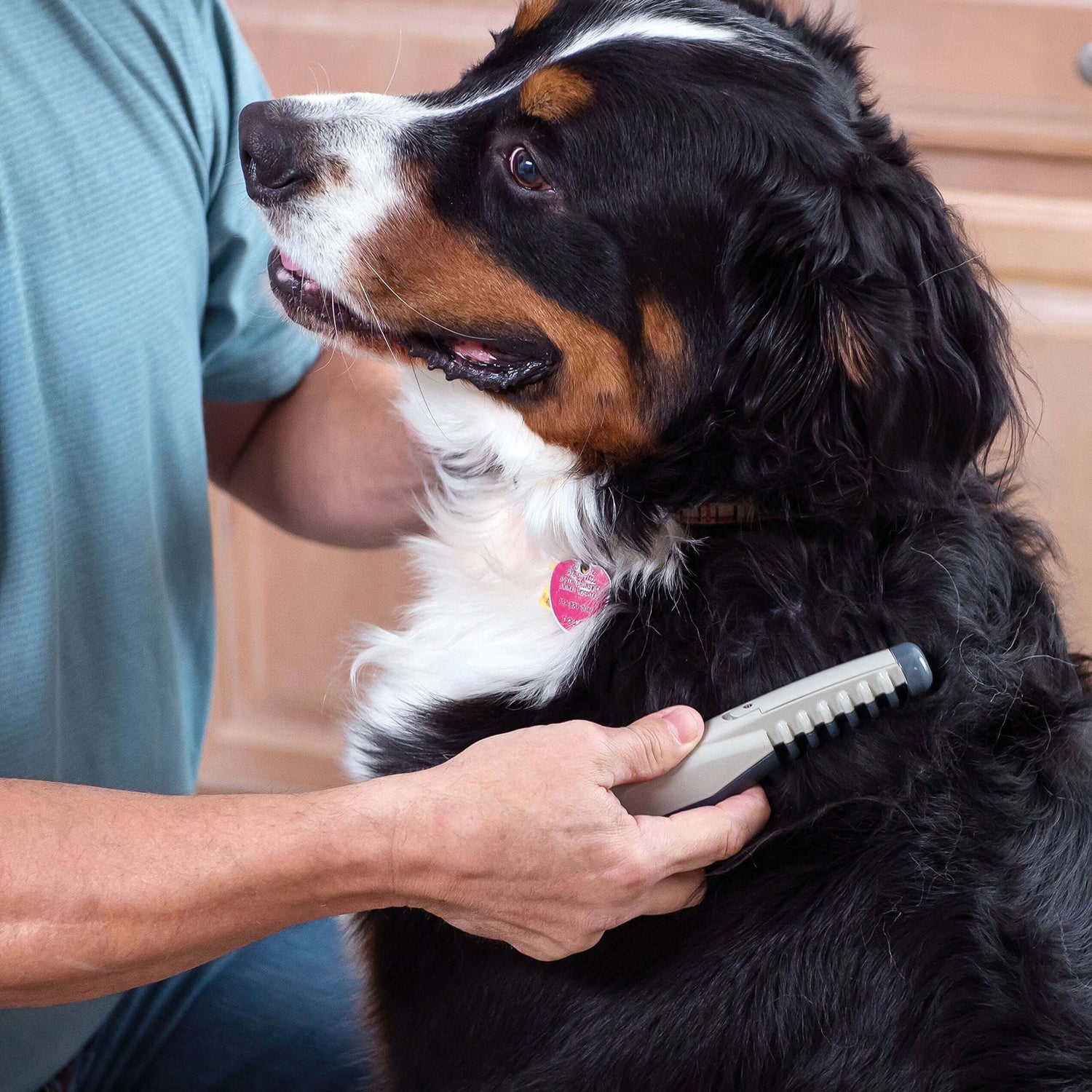 Grooming Tools