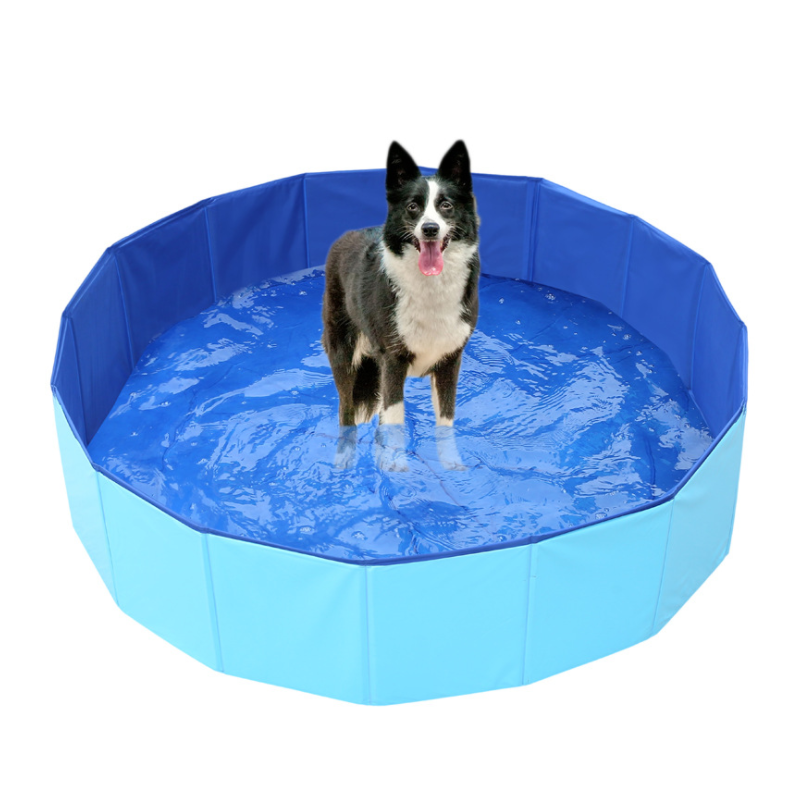 Foldable Swimming Pool for Swim & Bath - PawPal Shop 