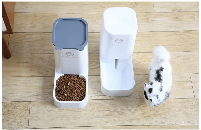 Steady-Feed Automatic Pet Feeder