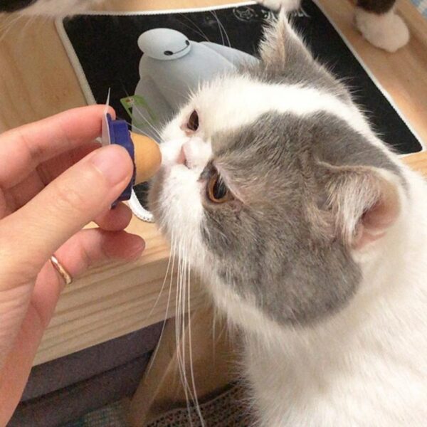 Catnip Energy Ball - Image 3
