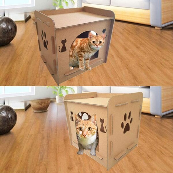 Cardboard Cat House