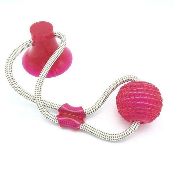 Pawfect4Pets Dog Pull Toy