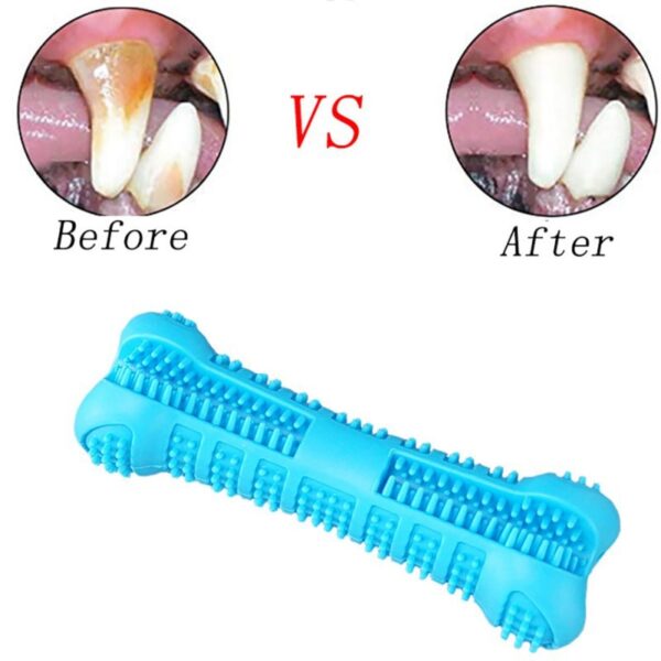 Dog Toothbrush Bone