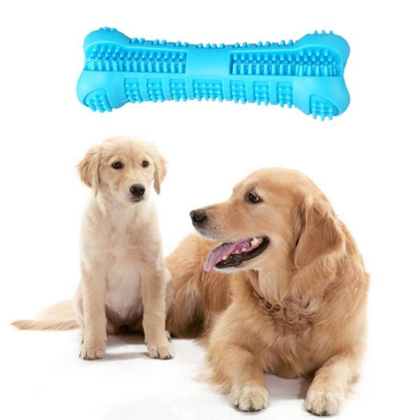 Dog Toothbrush Bone