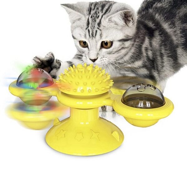 Pawfect4Pets Cat