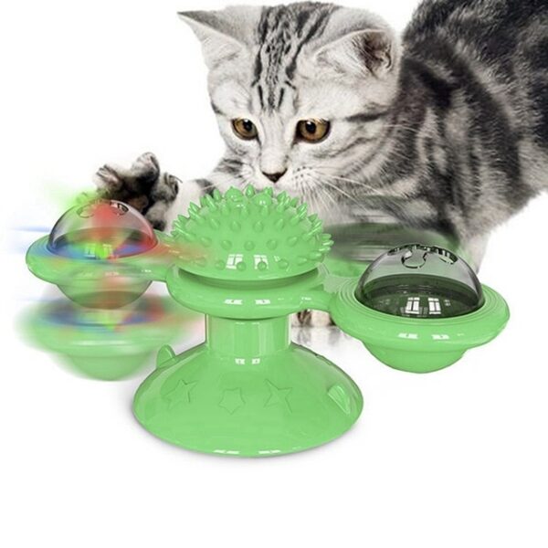 Pawfect4Pets Cat