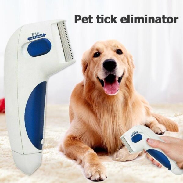 Flea Doctor