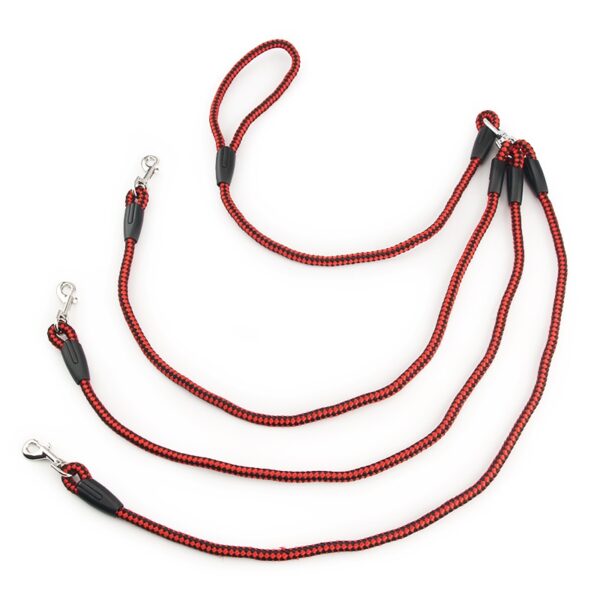 Triple Dog Lead