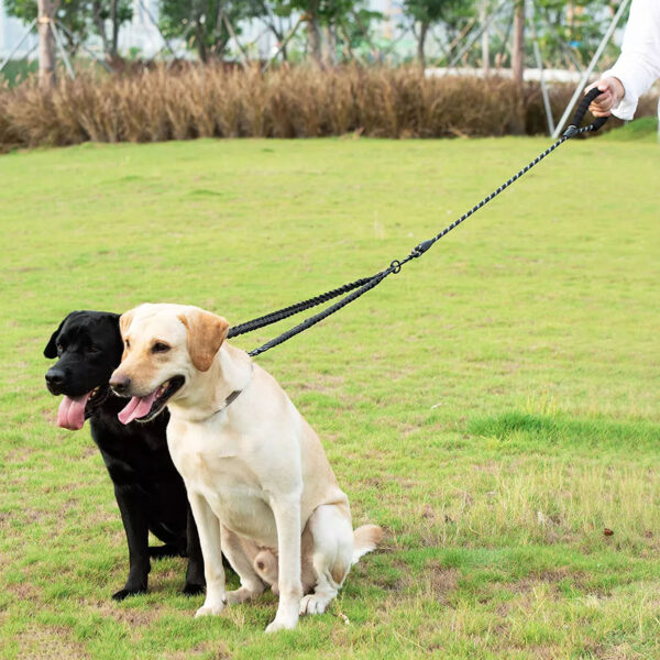 Tangle Free Double Dog Lead - Image 2