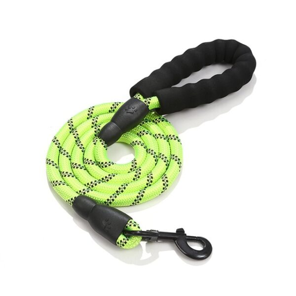 Dog Rope Lead