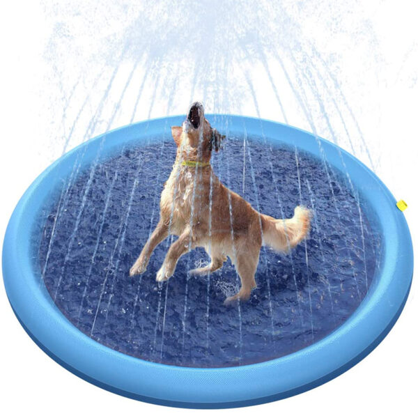 Dog Paddling Pool