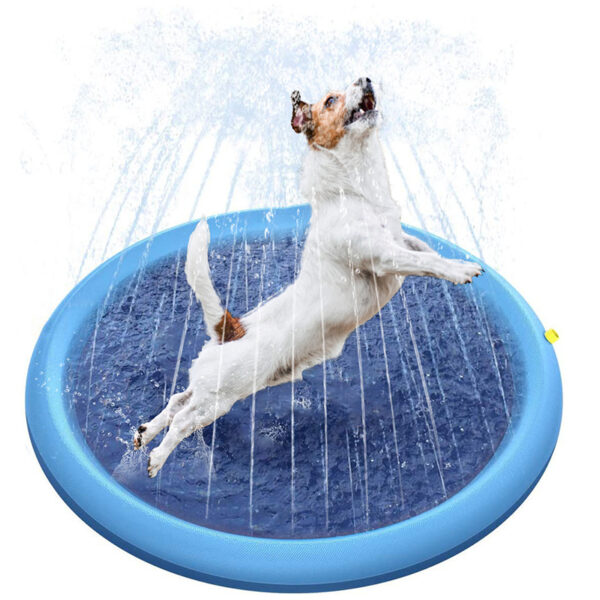 Dog Paddling Pool