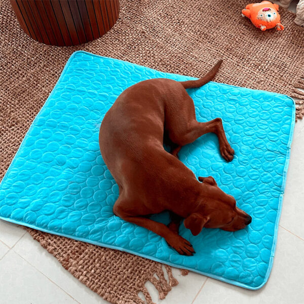 Cooling Dog Mat