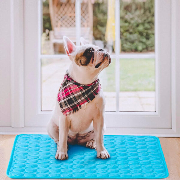 Cooling Dog Mat